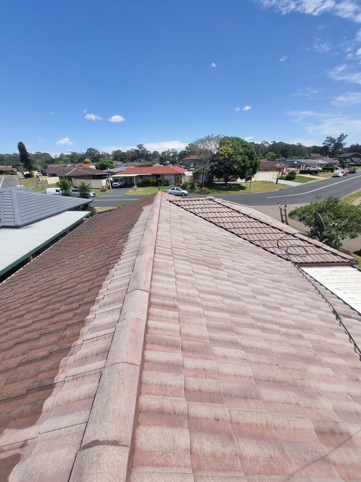 Roof ridge line before and after pressure cleaning, dark grime versus clean tile