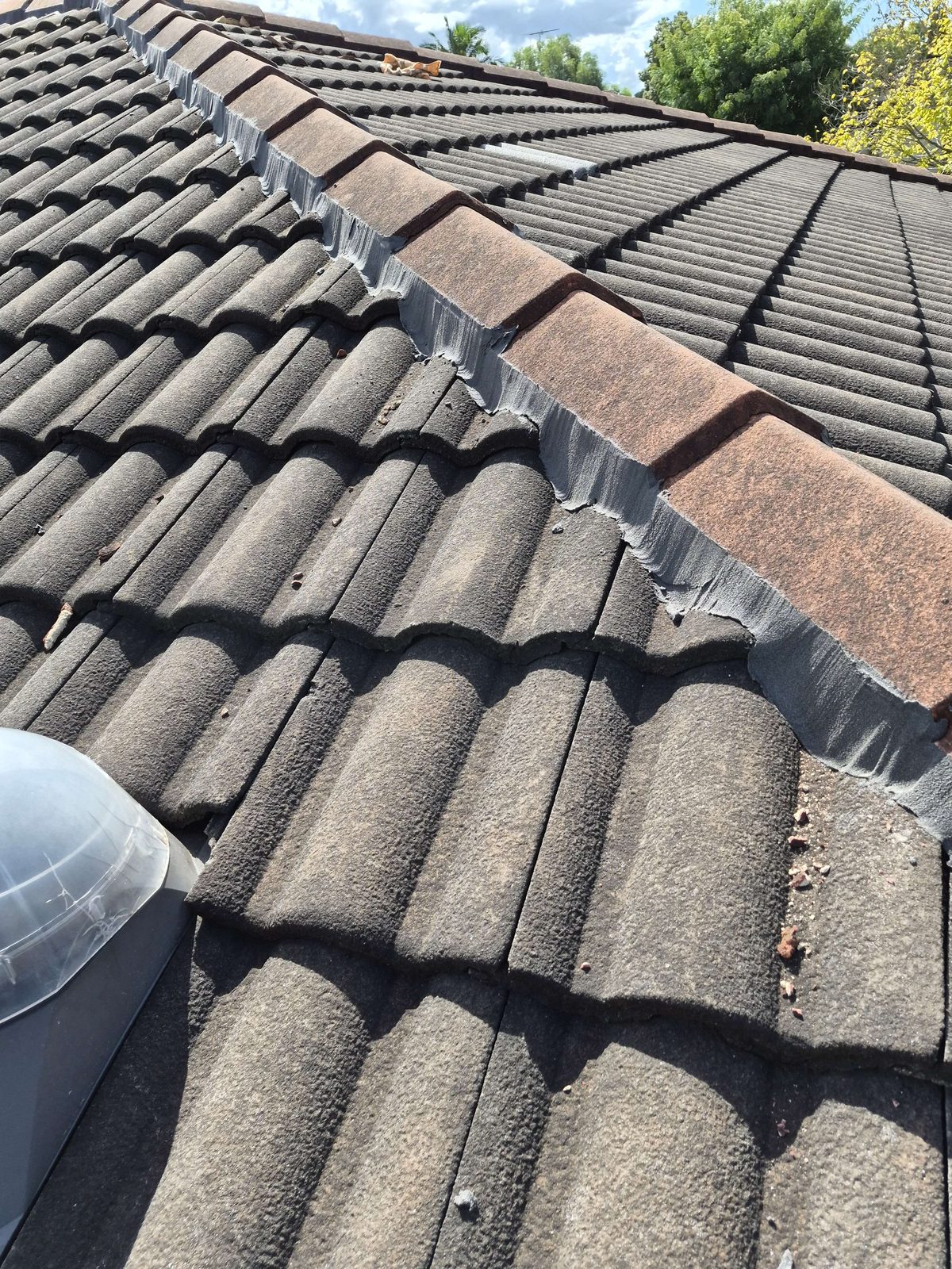 New flexible pointing along a concrete tile ridge line, contrast between old and repointed sections